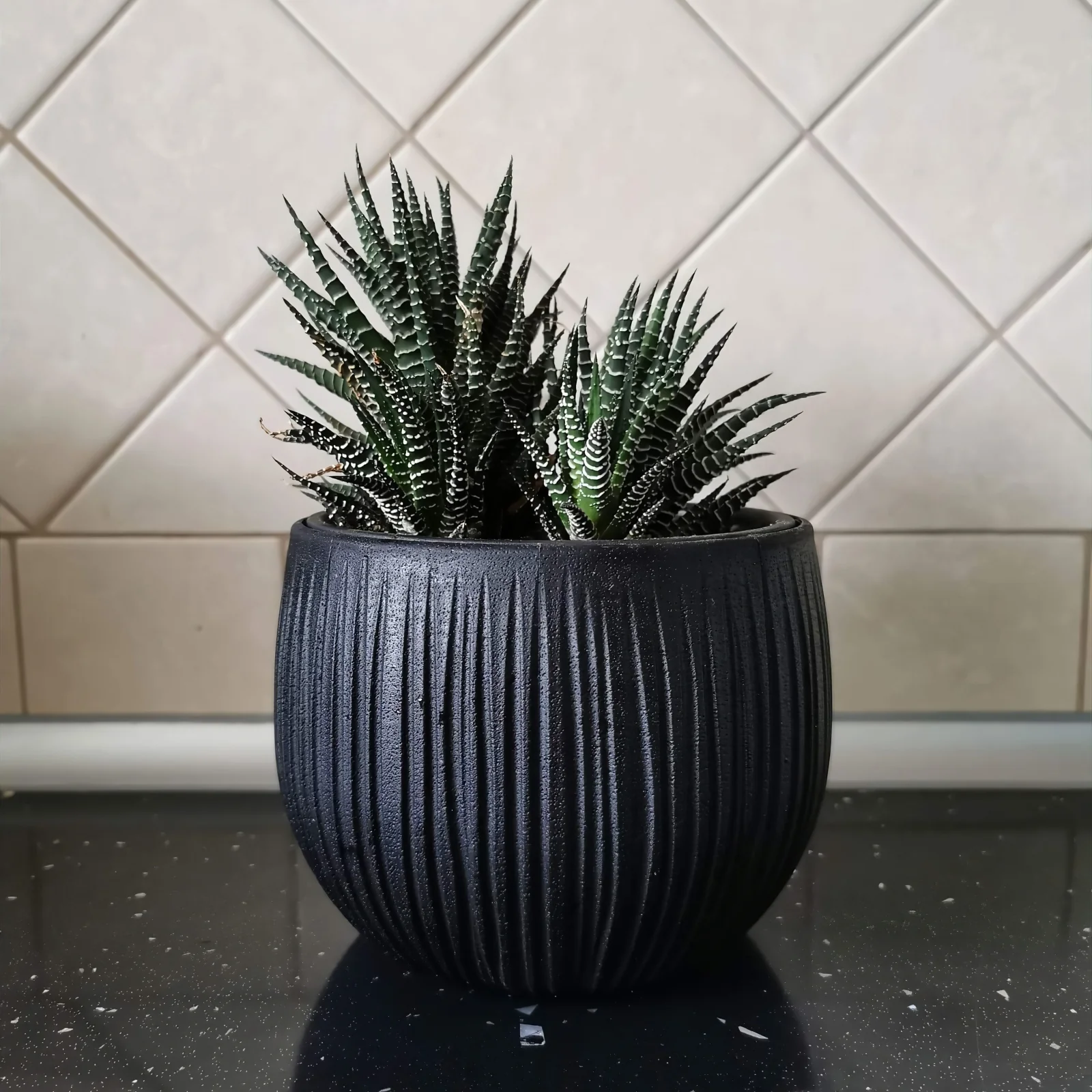 Beton Bowl Planter 150 - Image 4