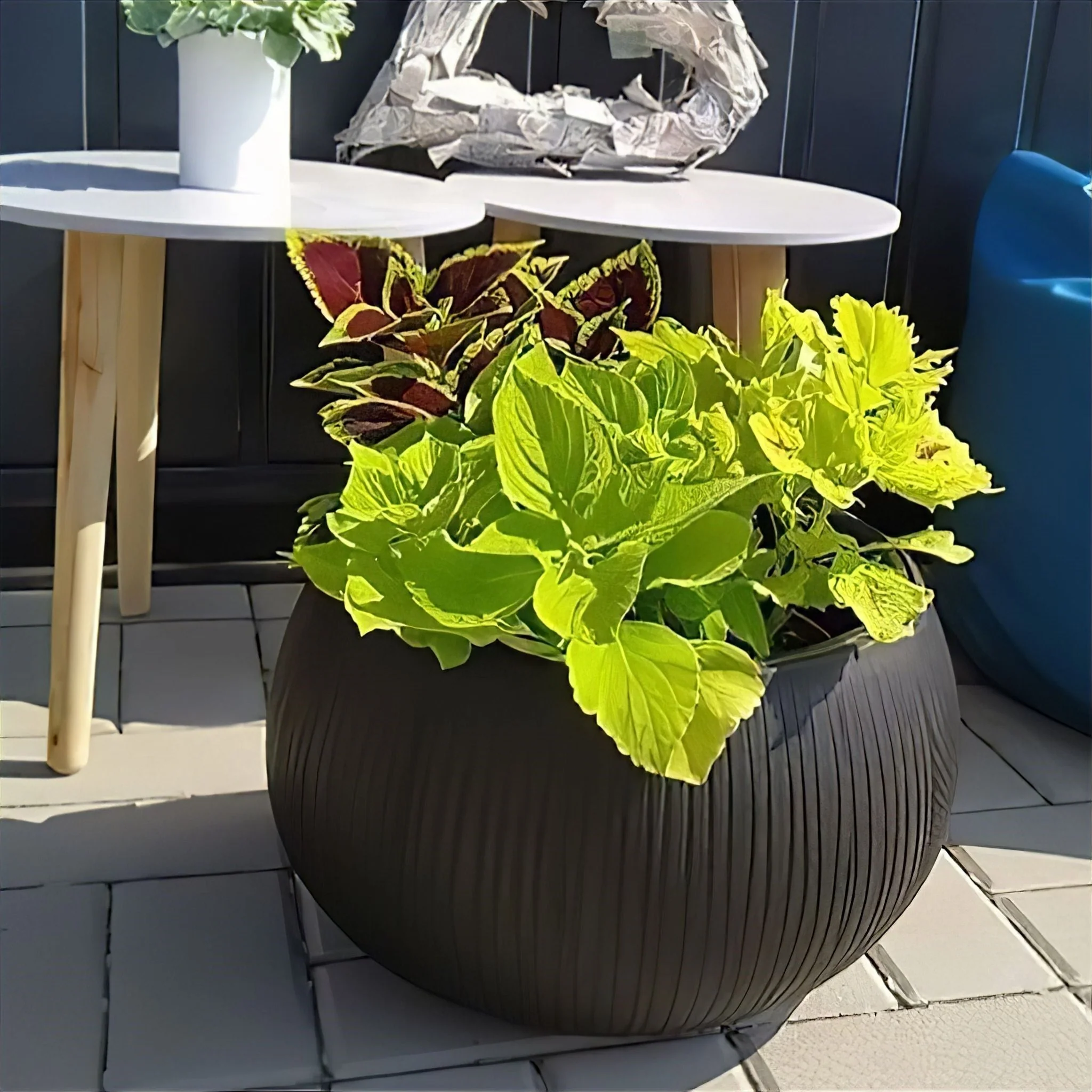 Beton Bowl Planter 370 - Image 5