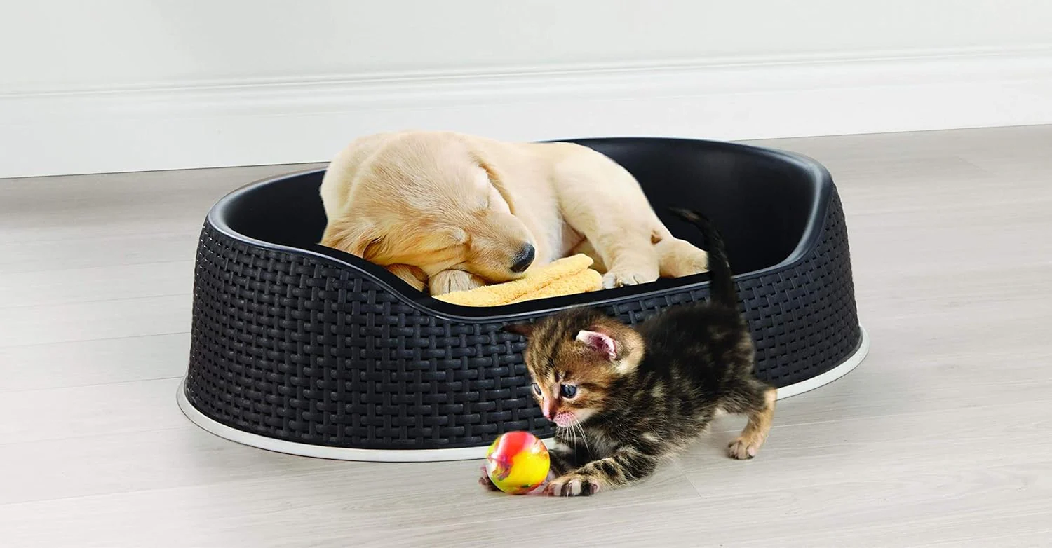 Curver Pet Basket (small) - Image 3