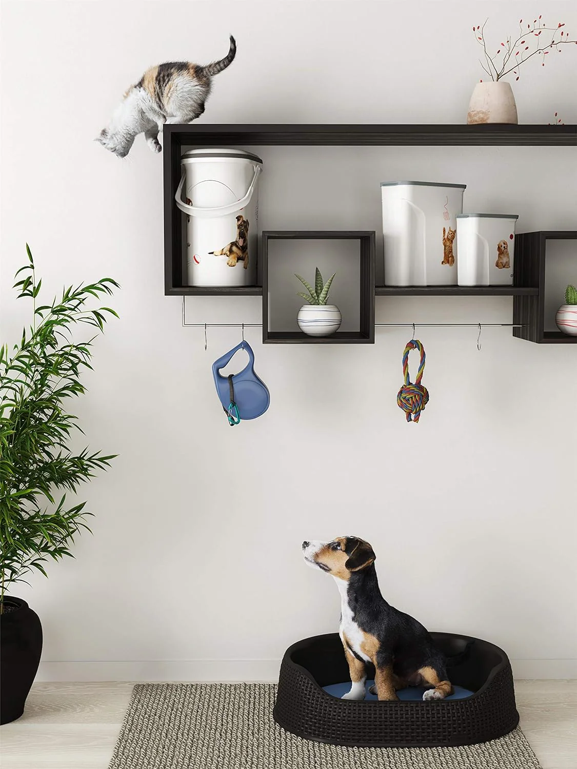 Curver Pet Basket (small) - Image 4