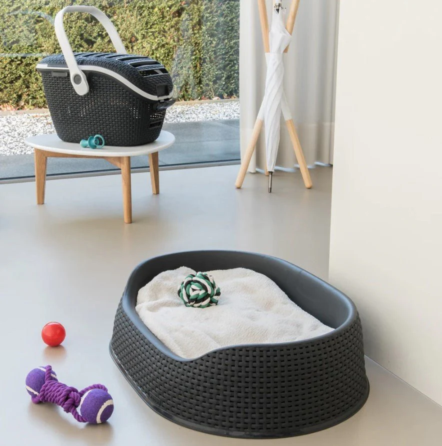 Curver Pet Basket (small) - Image 5