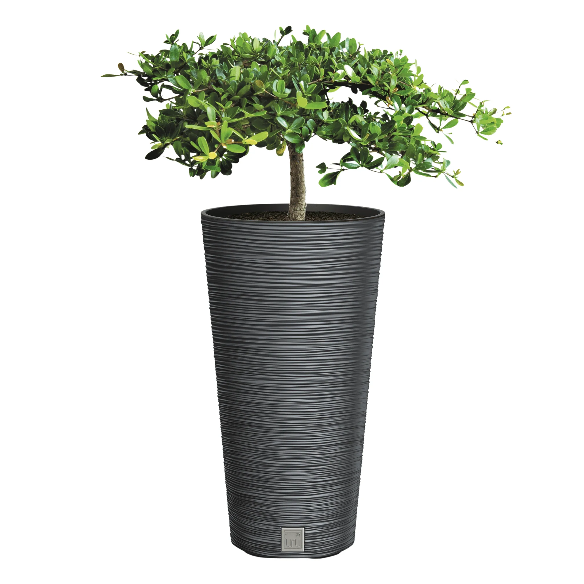 Furu Round Tall Planter 300 - Image 6