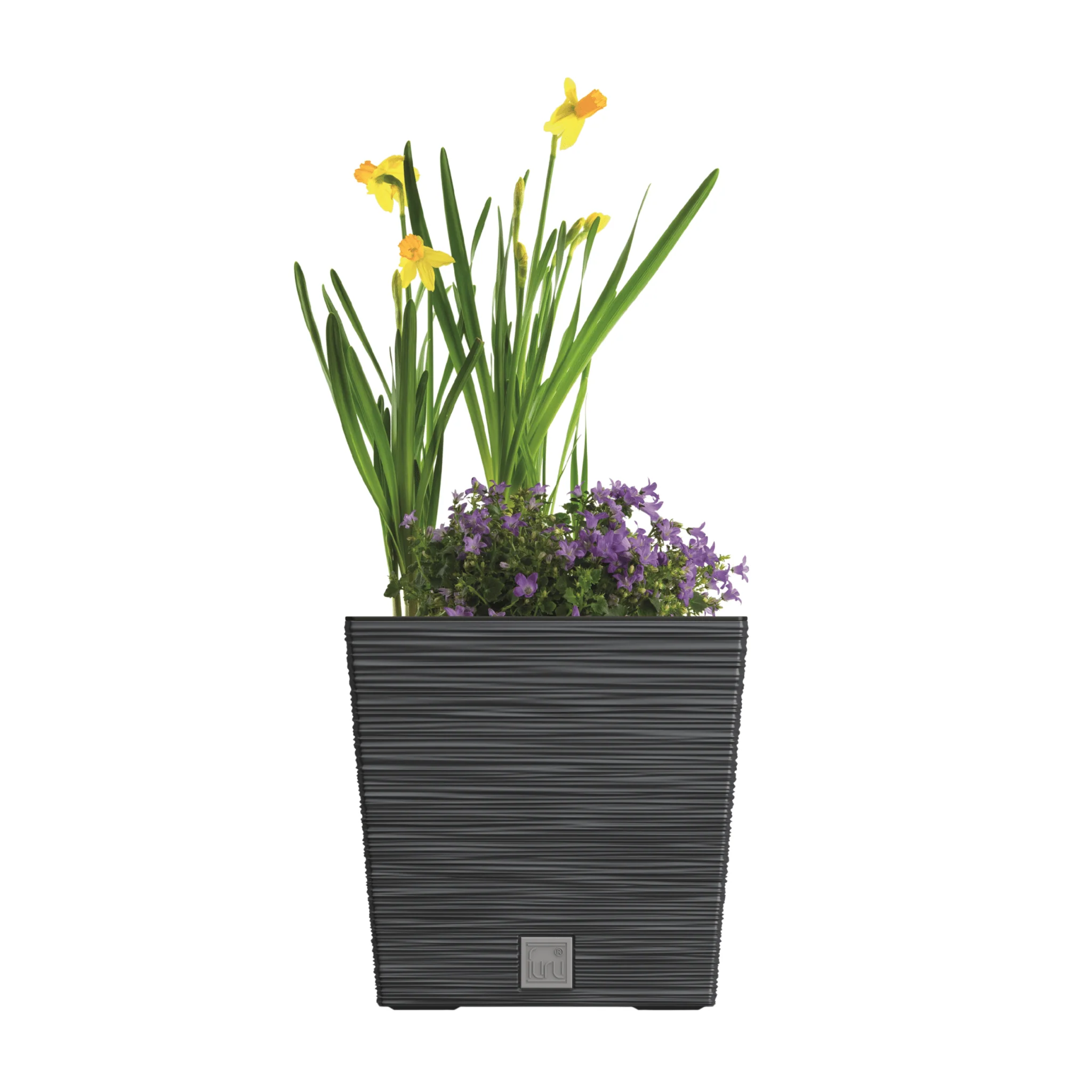 Furu Square Low Planter 240 - Image 7