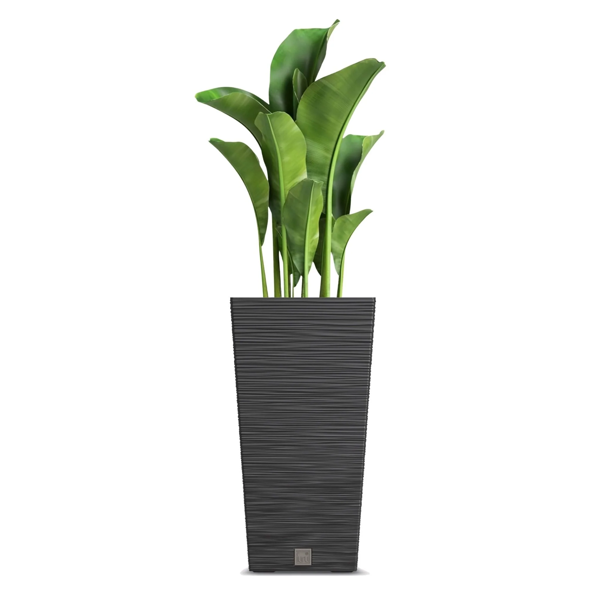 Furu Square Tall Planter 300 - Image 5