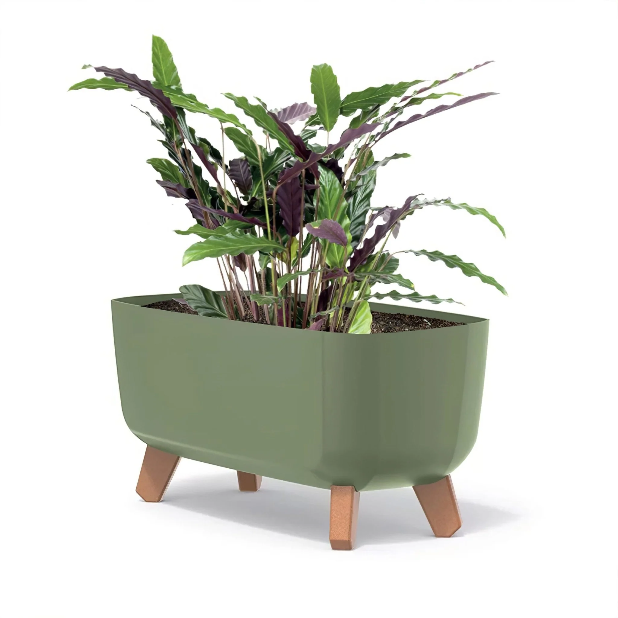 Gracia Case Planter 400 - Image 6