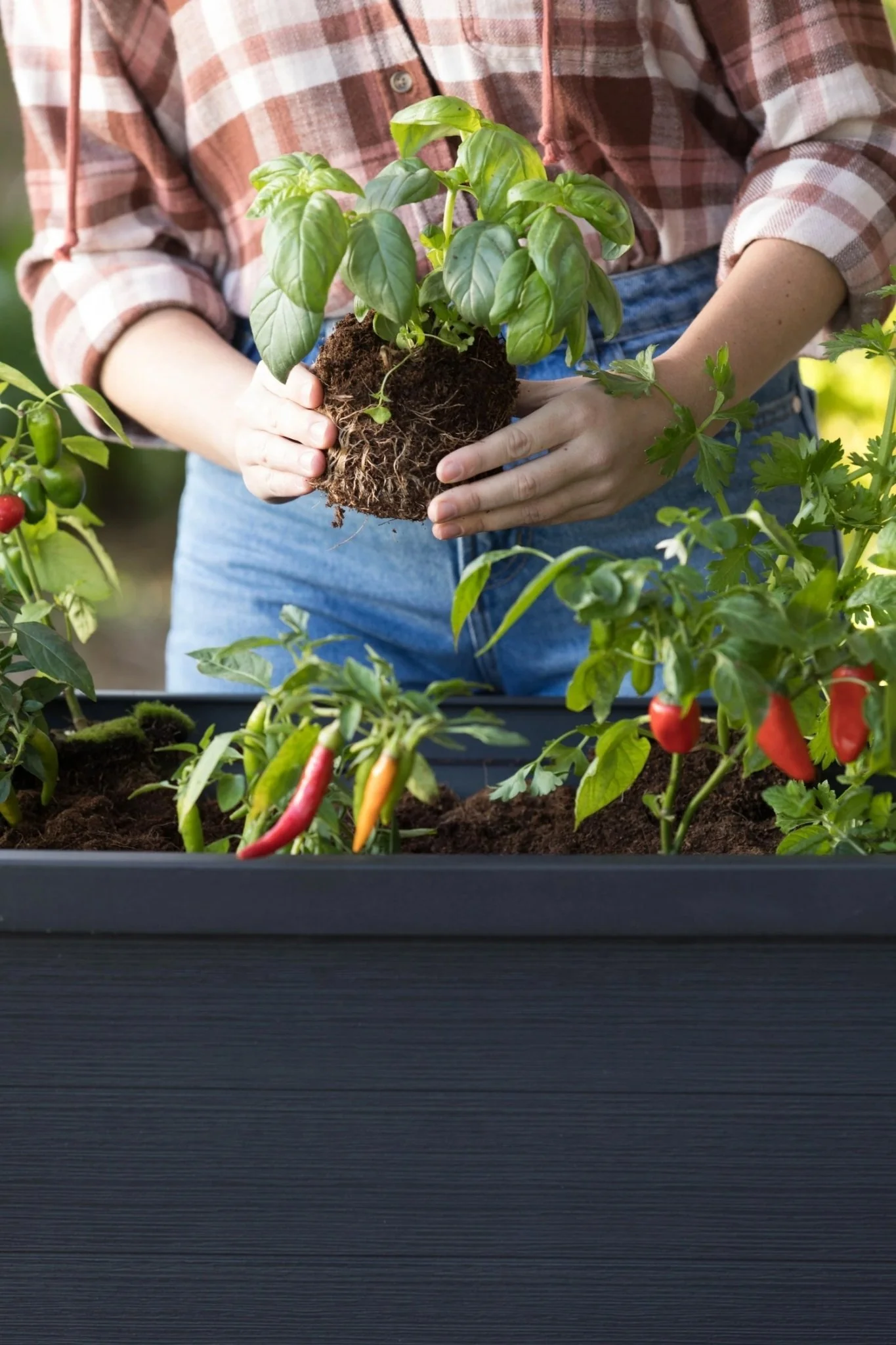 Keter Alfresco Garden Bed - Black - 2 Pack - Image 12