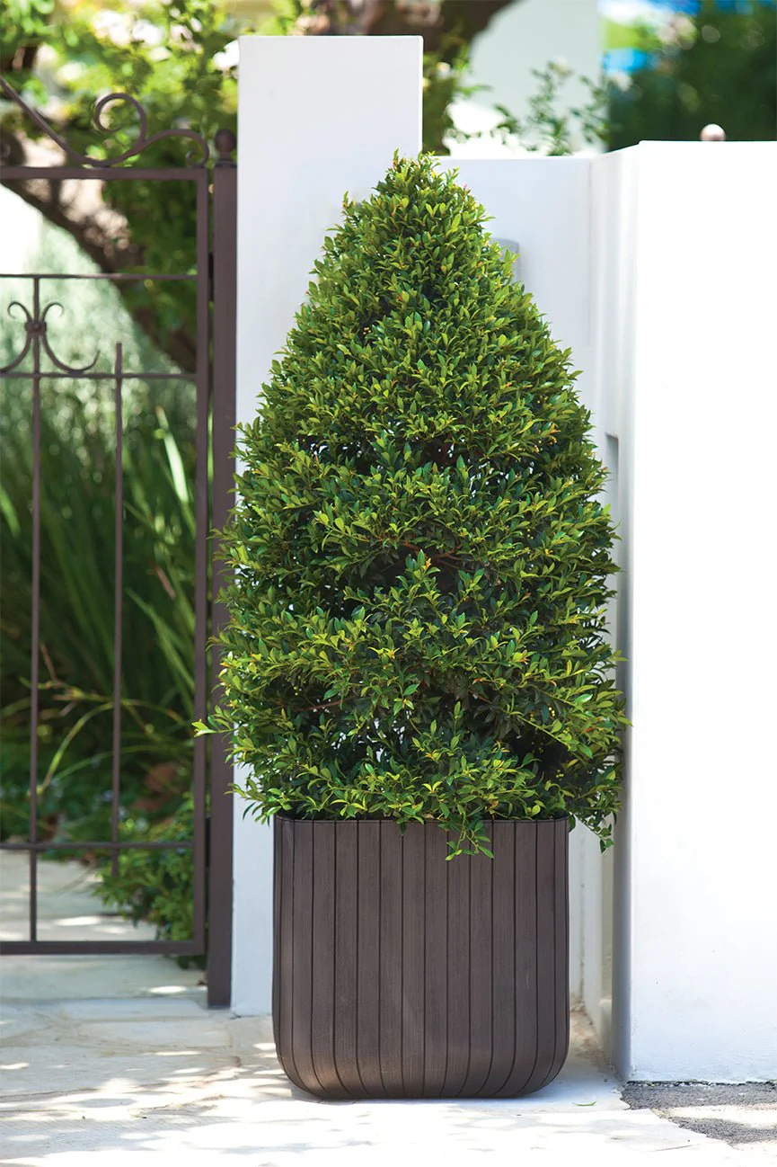 Keter Cube Planter - Brown (Medium) - Image 10