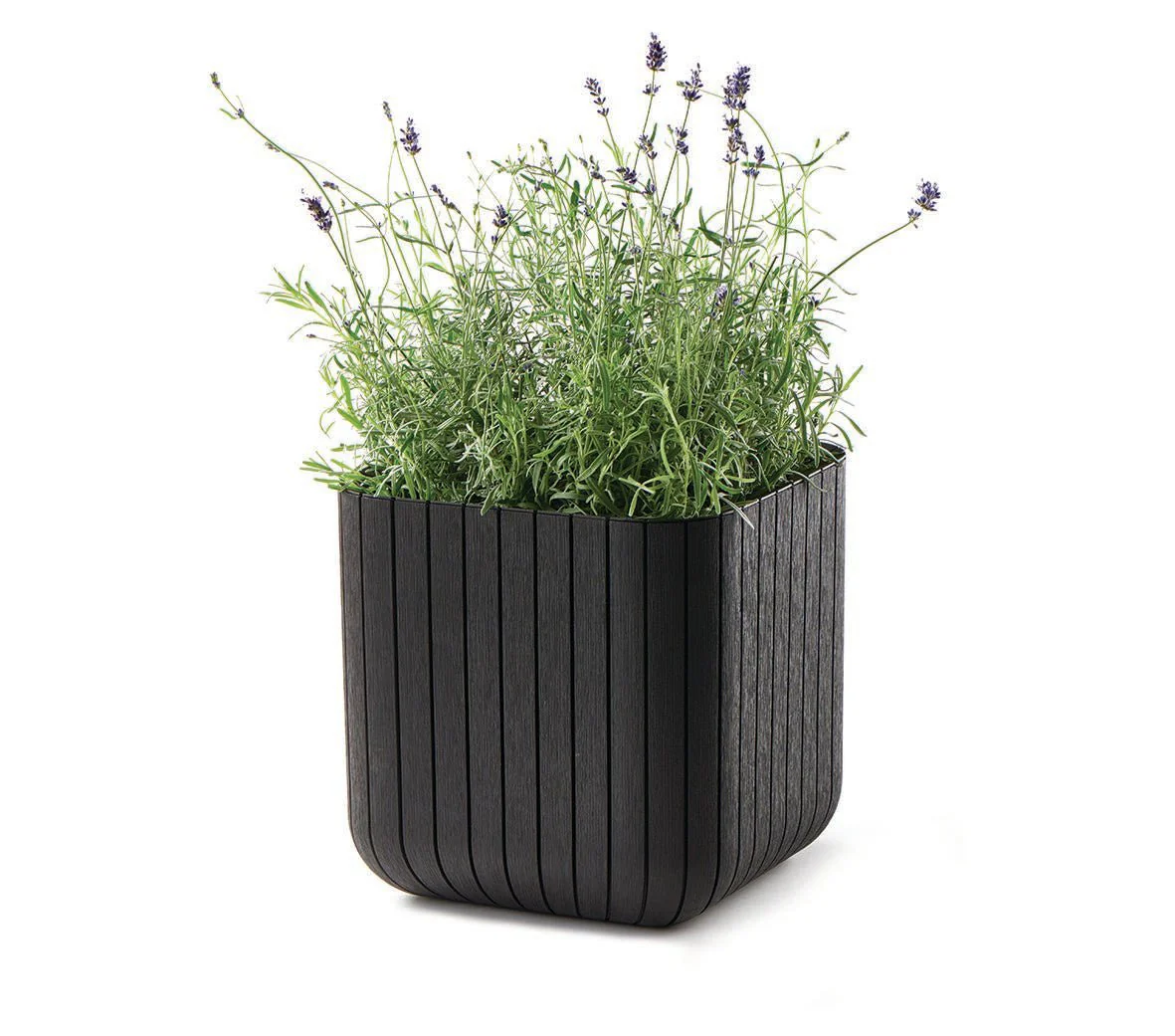 Keter Cube Planter - Brown (Medium) - Image 6