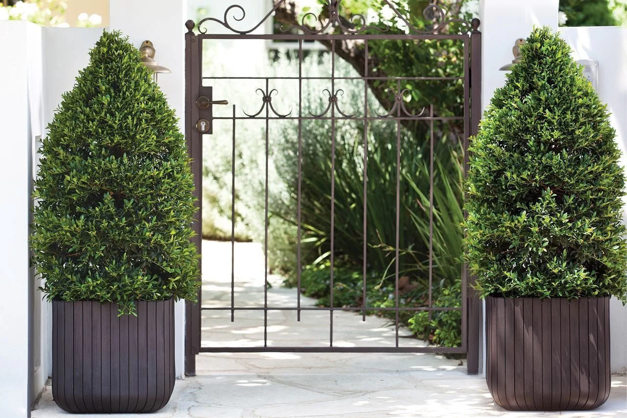 Keter Cube Planter - Set of 2 (S+M) - Brown - Image 7