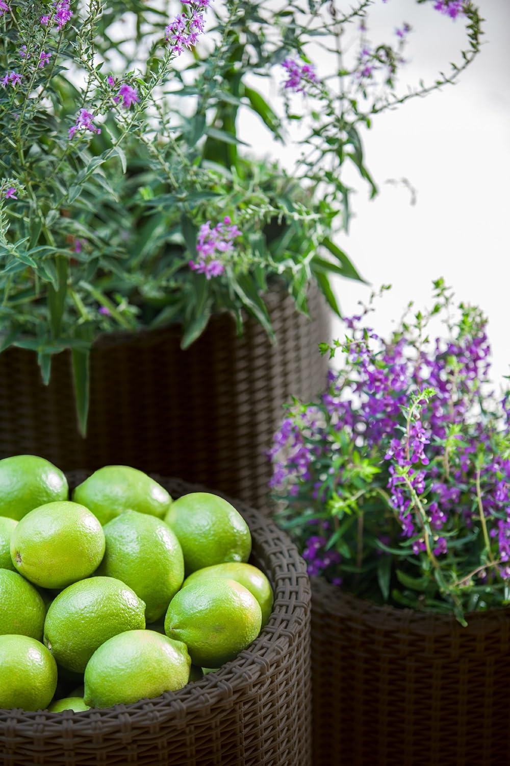 Keter Cylinder Planter- Set of 3 (S+M+L) - Dark Brown - Image 8