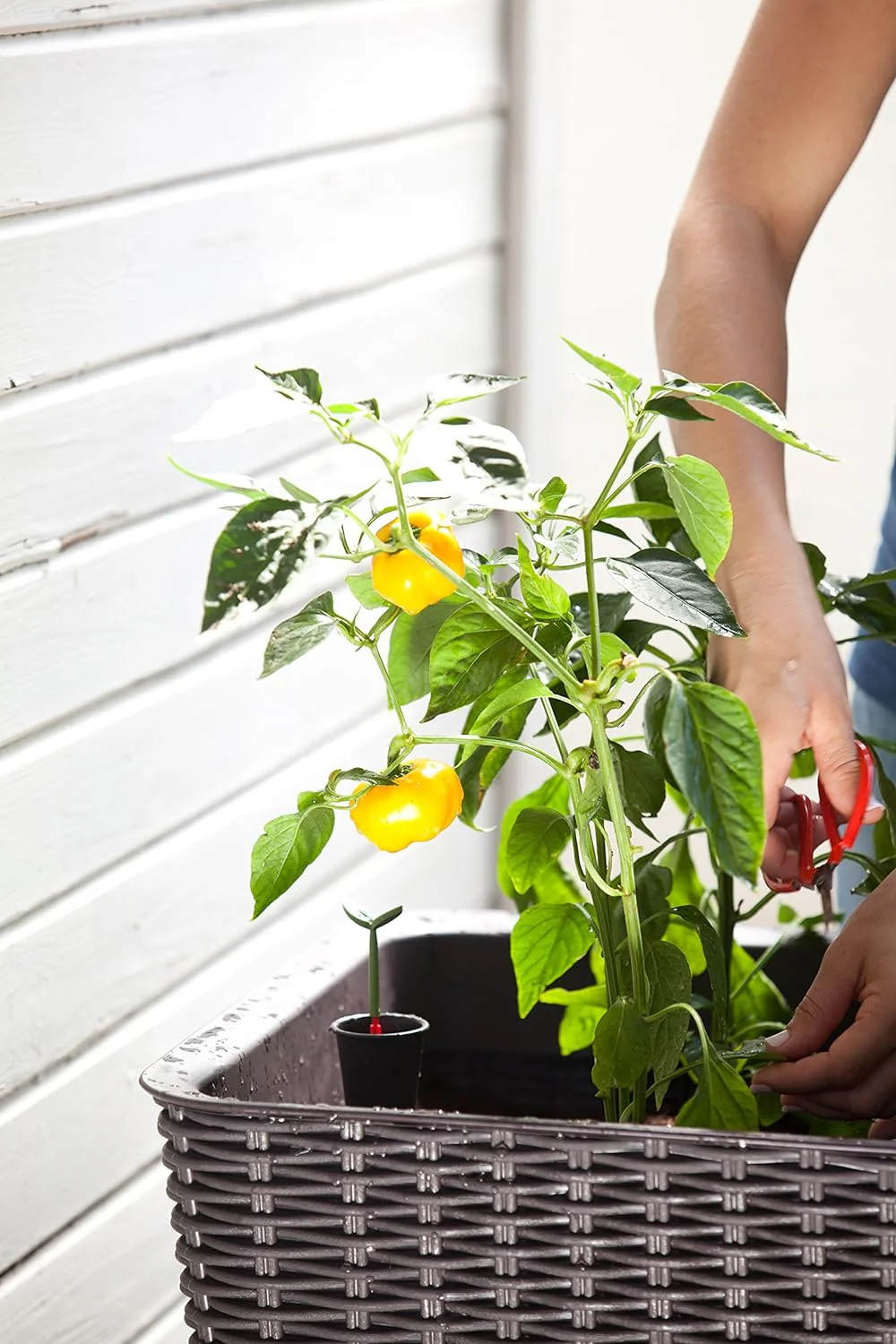 Keter Easy Grow Planter- Brown - Image 15