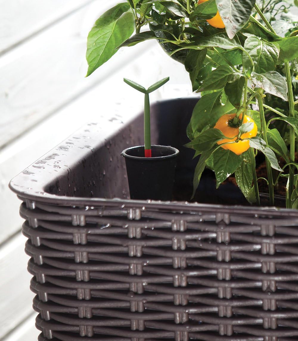 Keter Easy Grow Planter- Brown - Image 7