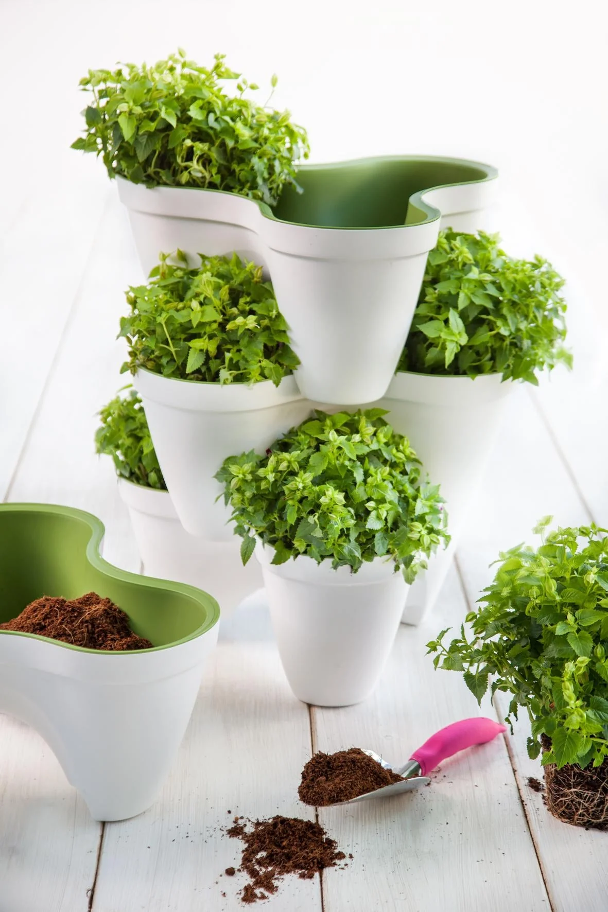 Keter Ivy Planter - White / Green - Image 10