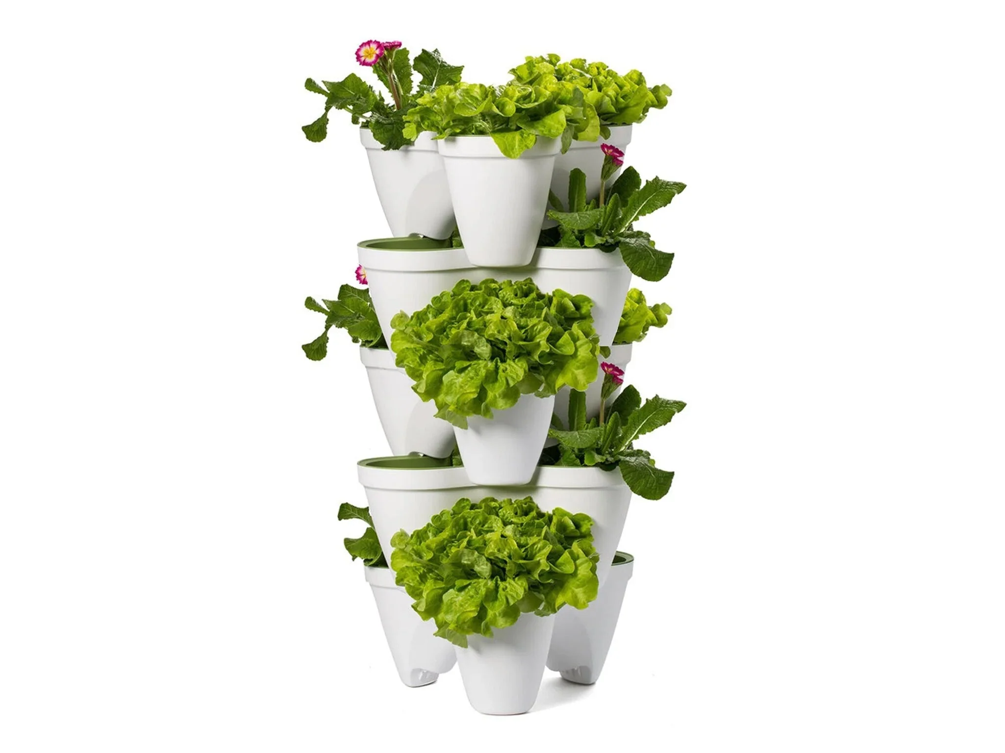 Keter Ivy Planter - White / Green - 3 Pack - Image 14