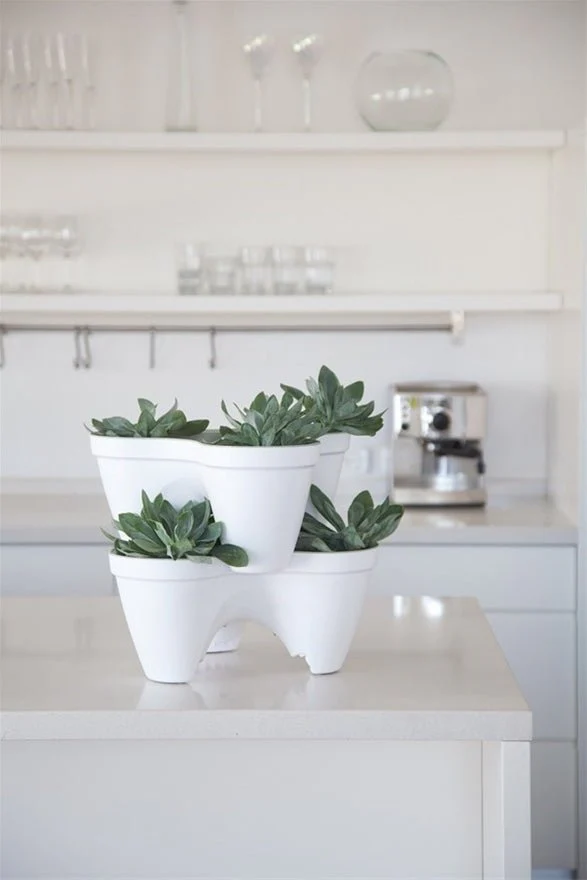 Keter Ivy Planter - White / Green - 5 Pack - Image 12