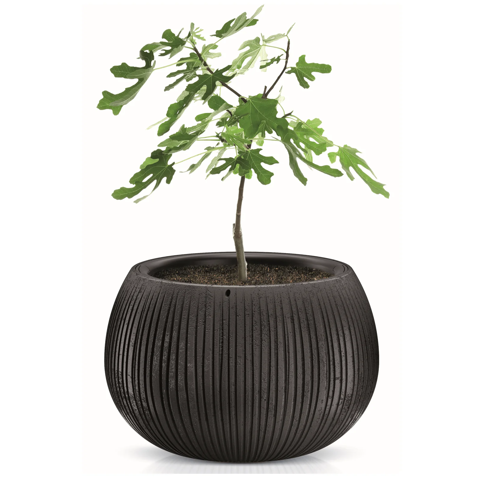 Beton Bowl Planter 240 - Image 4